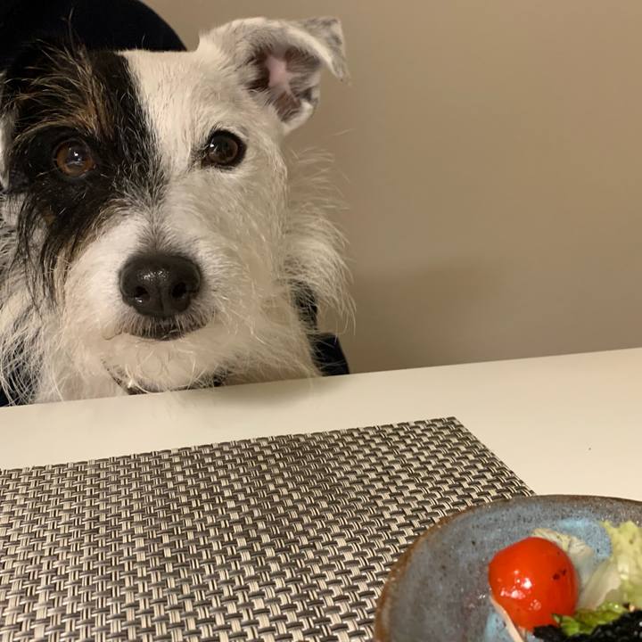 8a7d33f3 52df 4cca 838c 865599ff7d88 1638362796443