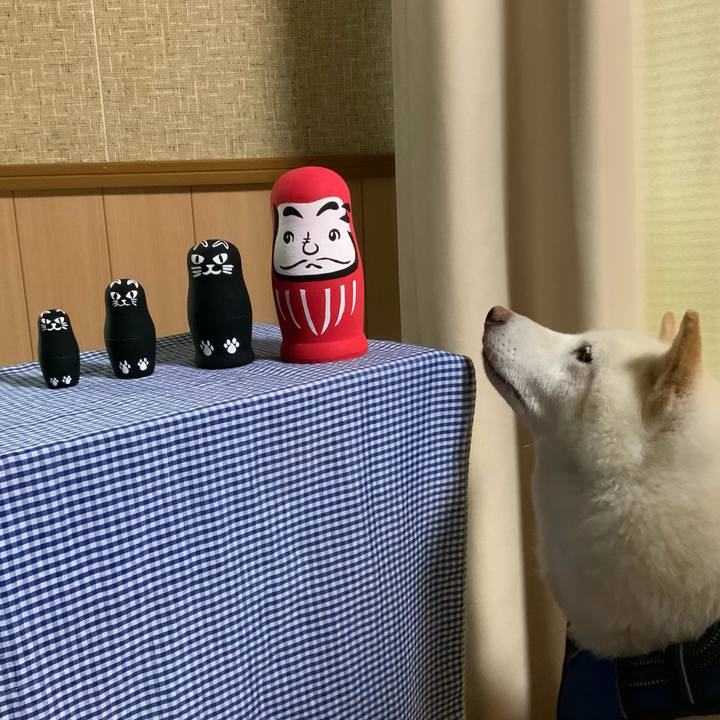 8a7d49c3 c1cc 40ab 86f7 dab5fa3d382d 1627783861728