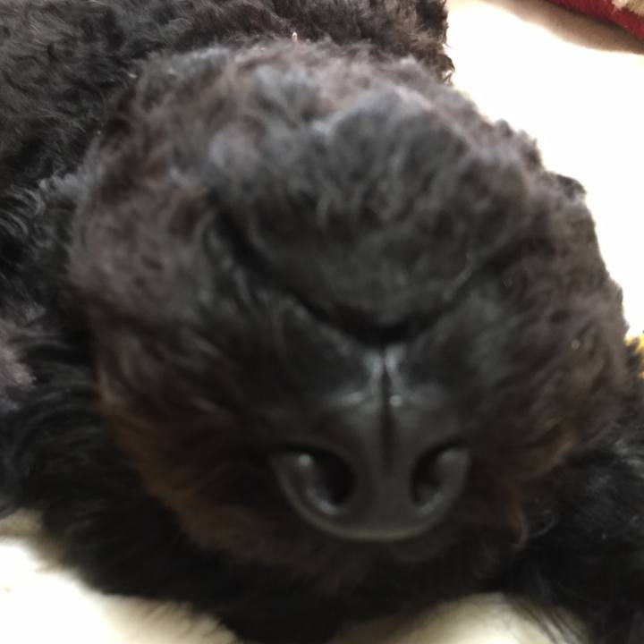 8a7d4c45 dd1a 4ee8 a93f fb8bc60a2b05 1527571720329