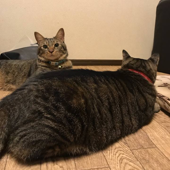 8a7d5ac1 fb78 49f6 8023 8975c84cea95 1540470477770