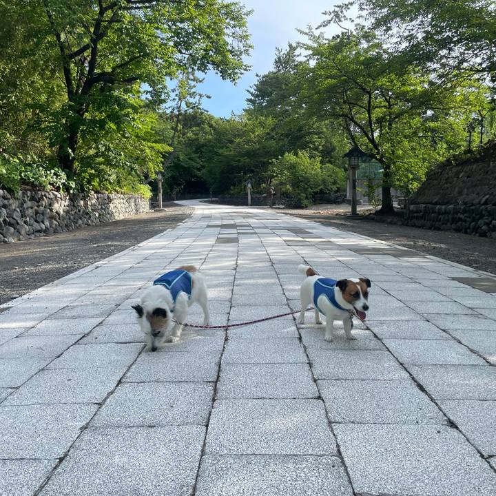 8a7db0c5 560c 4a7f 90d2 df9d29a90d95 1755384884097