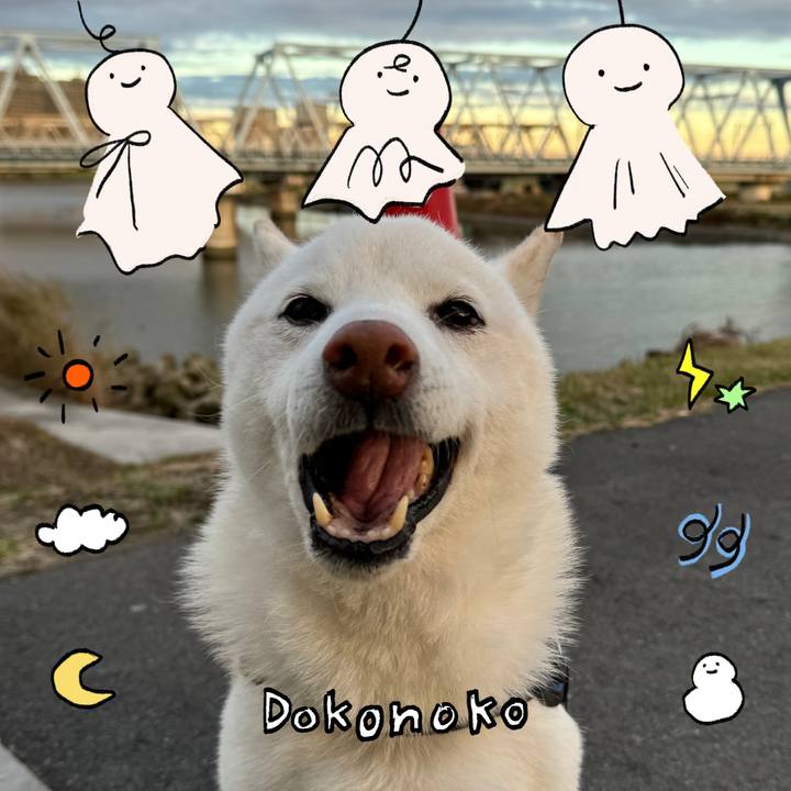 8a7dd200 6a47 47c2 aebb c947da8e72b5 1749262595254