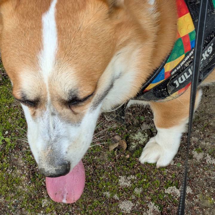 8a7dfaab be27 4ec5 9772 813a9e29dfc5 1747822152286