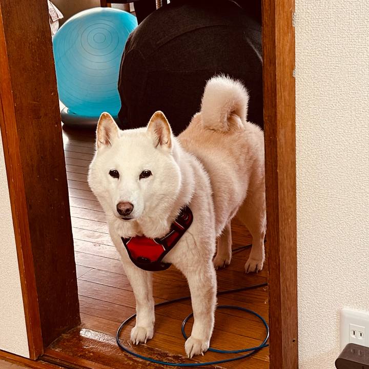 8a7dfac0 4cf0 4c8c a046 d68383c34346 1768344426708