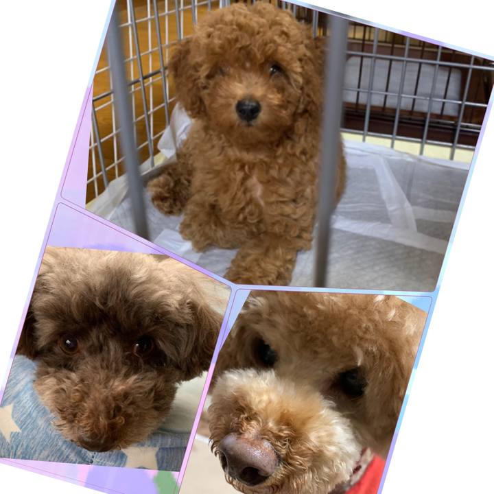 8a7e0741 e590 453b bf9d 870fa6f0c428 1594449625233