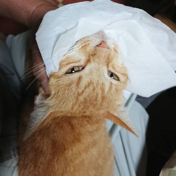 8a7e3815 5de7 4f09 b249 7f4c2ce36b1d 1593848045374