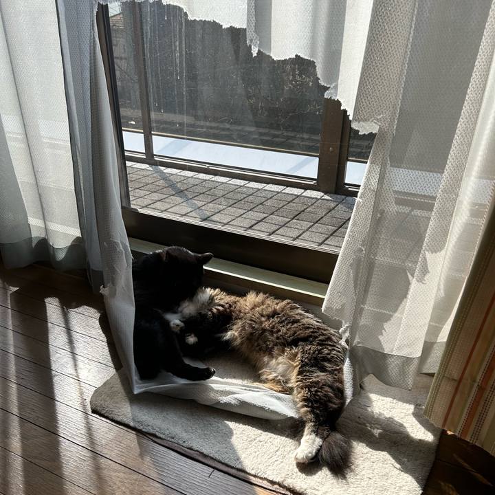 8a7e6439 ba48 4a5f 96a4 e5d5f0716083 1743906134379