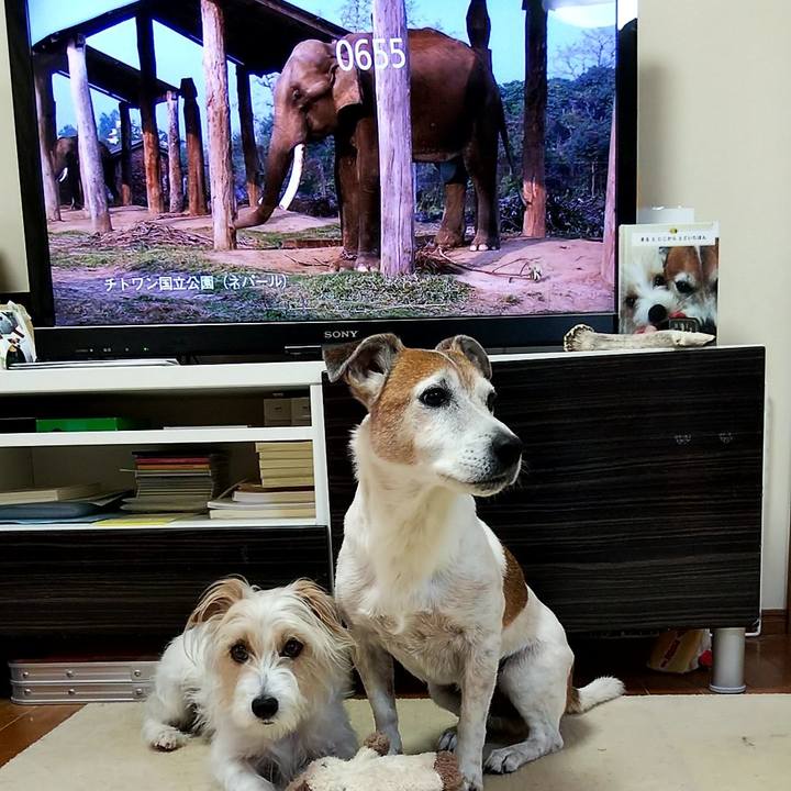 8a7e7c62 55ce 48c9 974b 631644b02c01 1560808899544