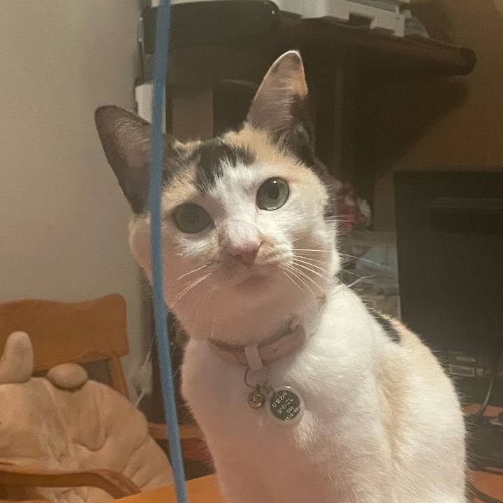 8a7ead29 1134 44f5 a840 86dd1e4cfcd7 1737038490835