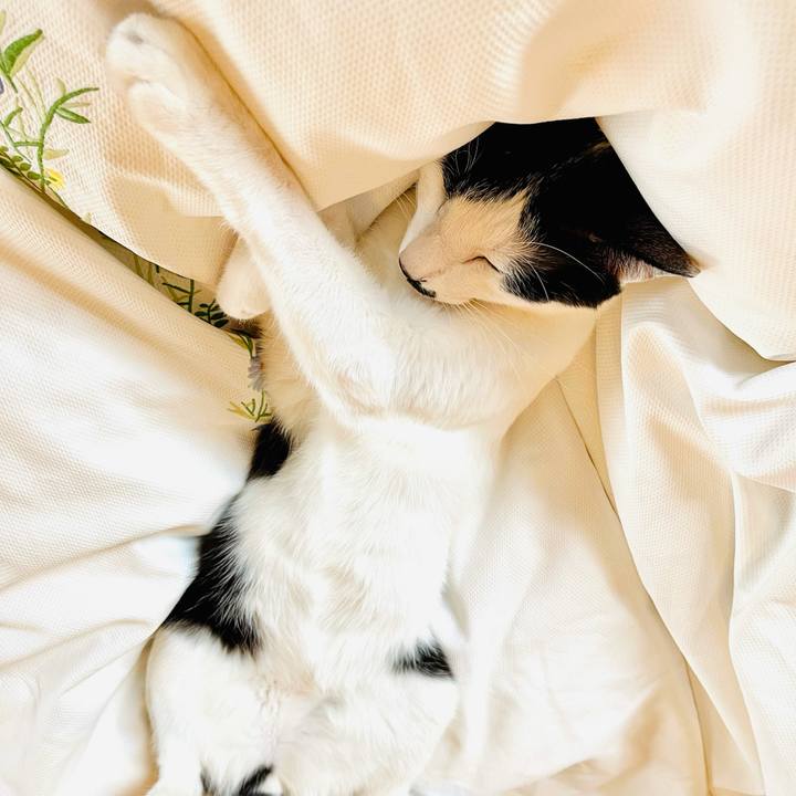 8a7ed4a4 938e 4de7 b955 e62f150b2883 1614657938561