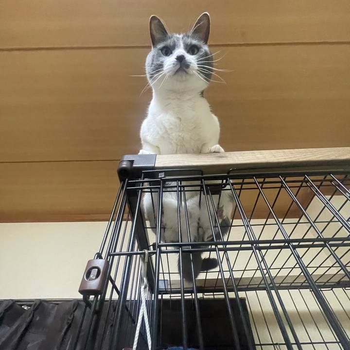 8a7ed5a5 b0c2 4ffc 82b1 a835024affb0 1680784582290