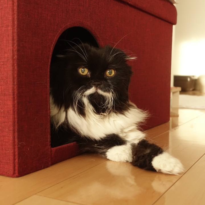 8a7f100d ef56 43e3 b706 f2931e3a971f 1570358717553