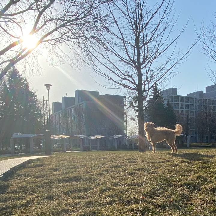 8a7f5149 87f8 4c36 8ba7 05d26e6b33b7 1618180514396