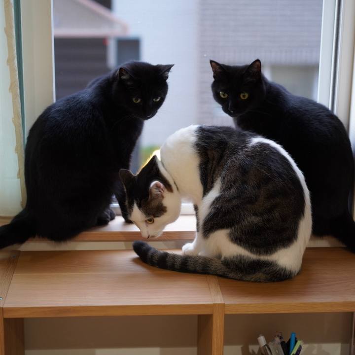 8a7f54c4 e910 4aac 90cf f5384312c6da 1624198547107