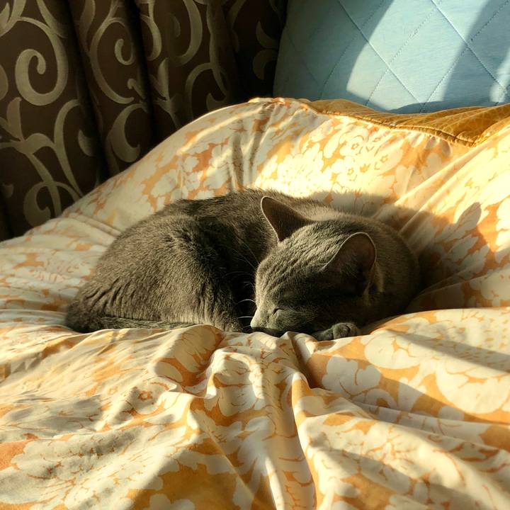 8a7f6970 b664 4e56 b482 1e21d076070d 1584695297286