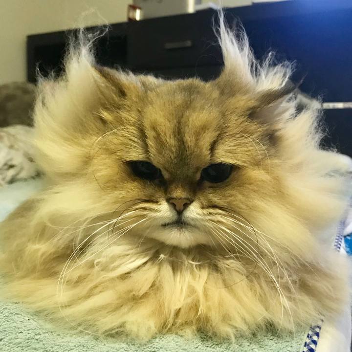 8a7f7ffc 752a 4cd1 be51 a72d559b3be9 1548700541587