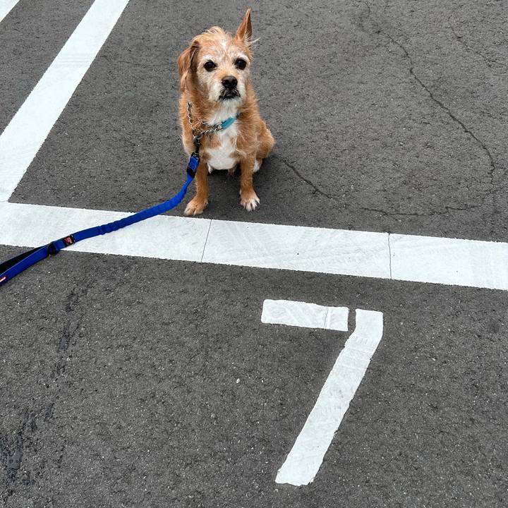 8a7f92bb 9c50 4b80 b93b 05468a925ba0 1730291905368