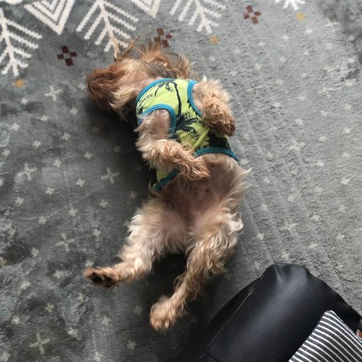 8a7f98b0 73b0 4590 aa6f 2f624456510e 1578647987883