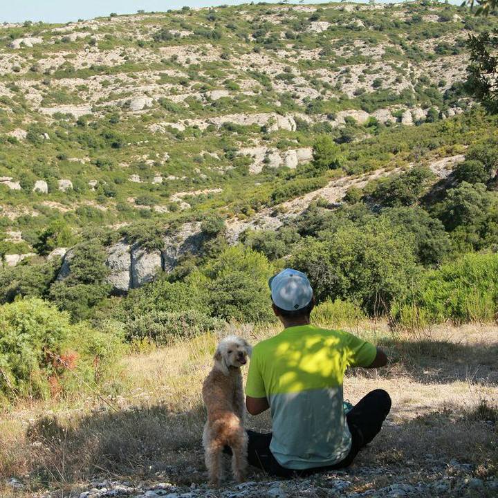 8a800a6b d8eb 4bb1 86b4 34ab8c094f4f 1594820365308