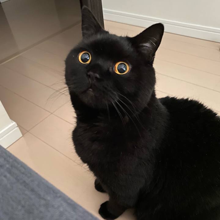 8a80270c 6e9b 4486 943c cf449585c84a 1685587676297