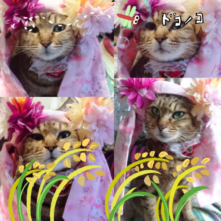 8a8047cf cf94 47b2 a3b6 3a687f47b9c0 1763255701162