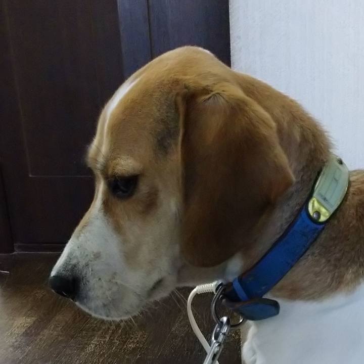 8a8050c3 65f6 4b7b 8305 421195199074 1605693711866