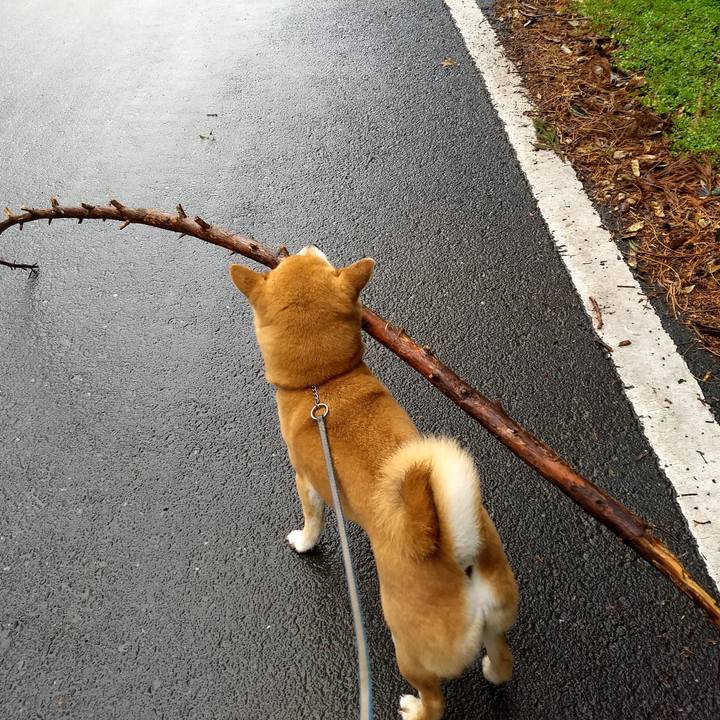 8a805e73 0316 469e bd59 7993dc00e8f1 1551619882095