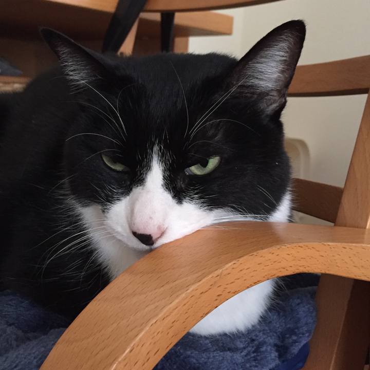 8a8071d3 08d6 48fe 91e9 772e4a022d2d 1516366892457