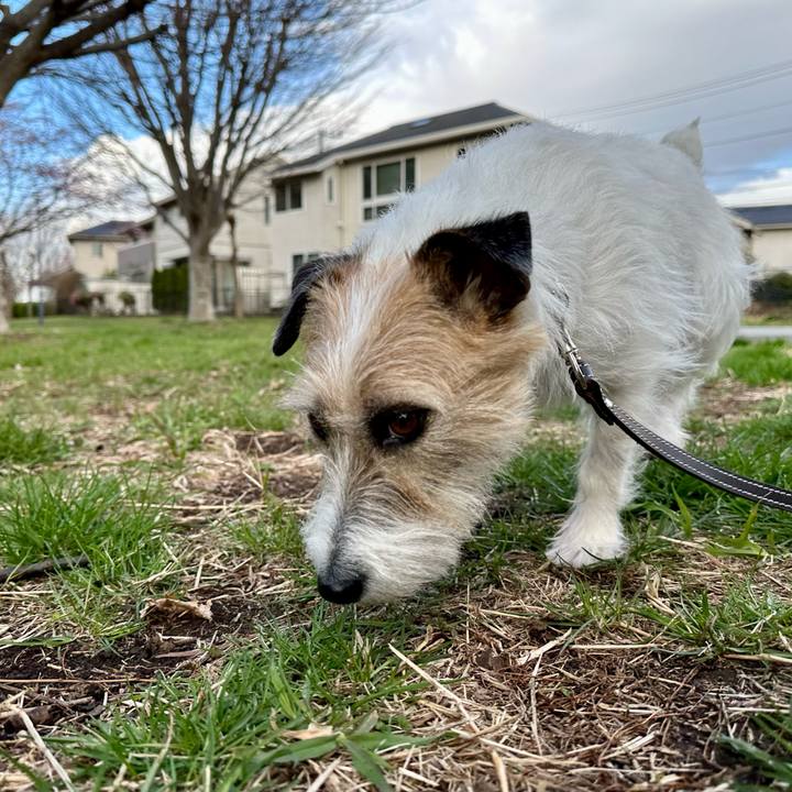 8a807bbd 3f59 4f52 8135 a1133e9c559b 1742373841998