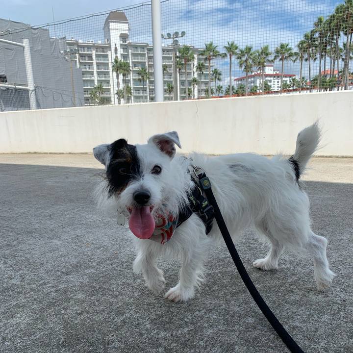 8a807cf4 f0ab 4e2a a907 568be583c901 1567214862614