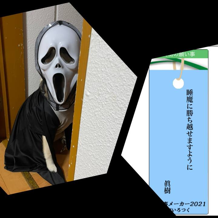 8a808ede cab7 4481 b2ca c30d63ee844f 1625576287898