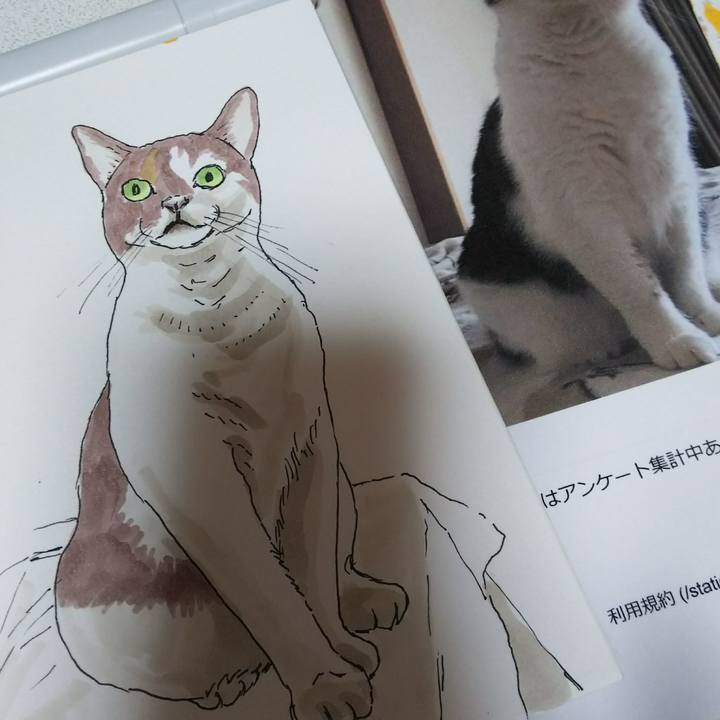 8a809ad7 e0ab 4250 bc2b b4511bb8c47b 1538809569365