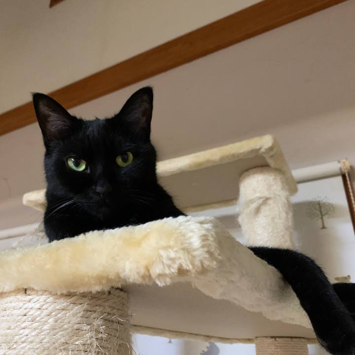 8a80be11 1fe8 4b9a 9bc6 81712ff4f7f7 1655385387383