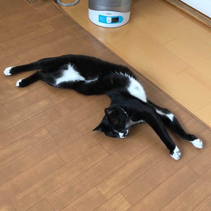 8a80ca05 d4ef 41a0 94da cc70059ed7c1 1533527193461