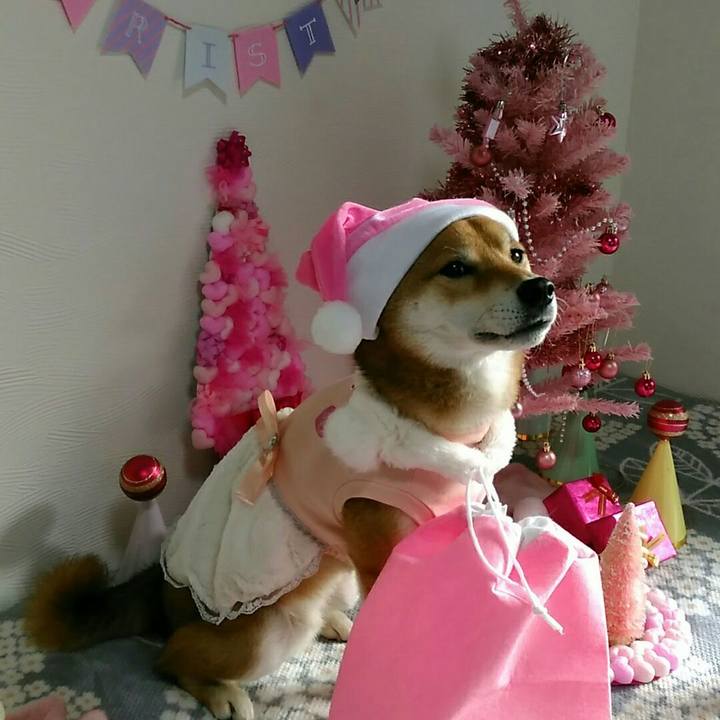 8a812068 cb3e 4574 a2ae 9cbf1f5209c5 1545575667750