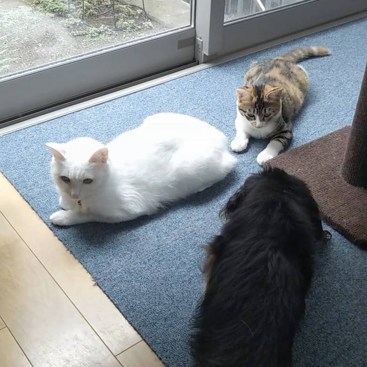 8a8142a9 1495 4846 a3c7 07f4477af3da 1630840242571