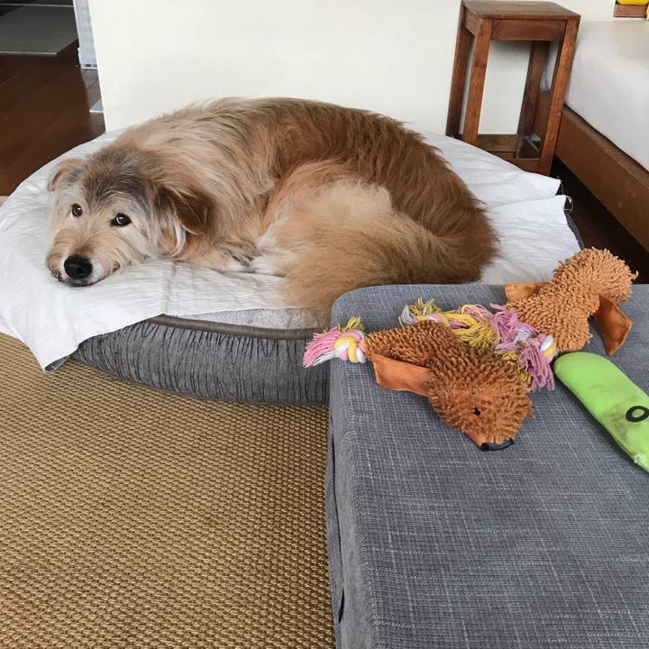 8a816a96 a16a 41f3 b8f9 bd6fe99ce9dd 1655344861683