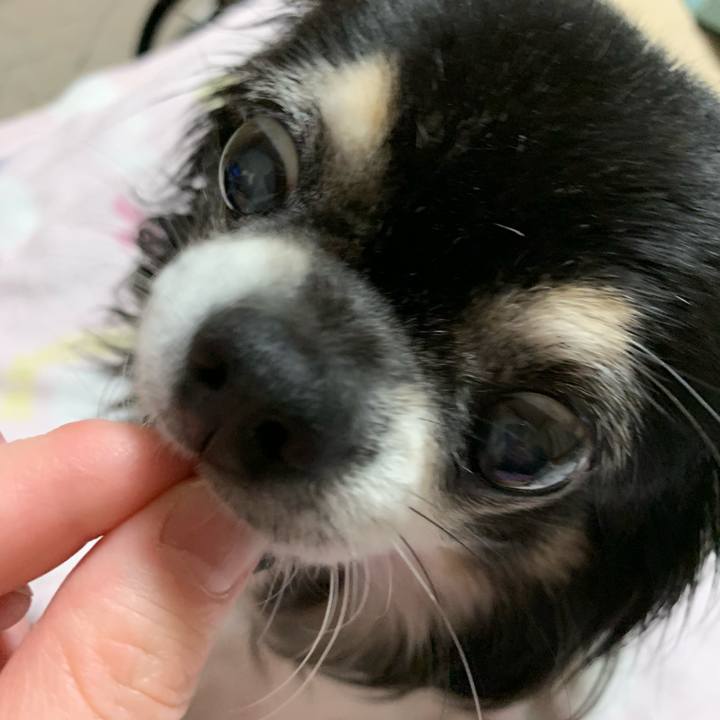 8a818b53 406c 4d93 a960 e483ec29a2e9 1561901068117