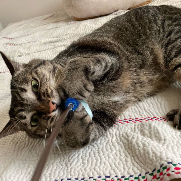 8a818e3b a4c6 4431 ae72 2cd73c29cbfe 1722341788566