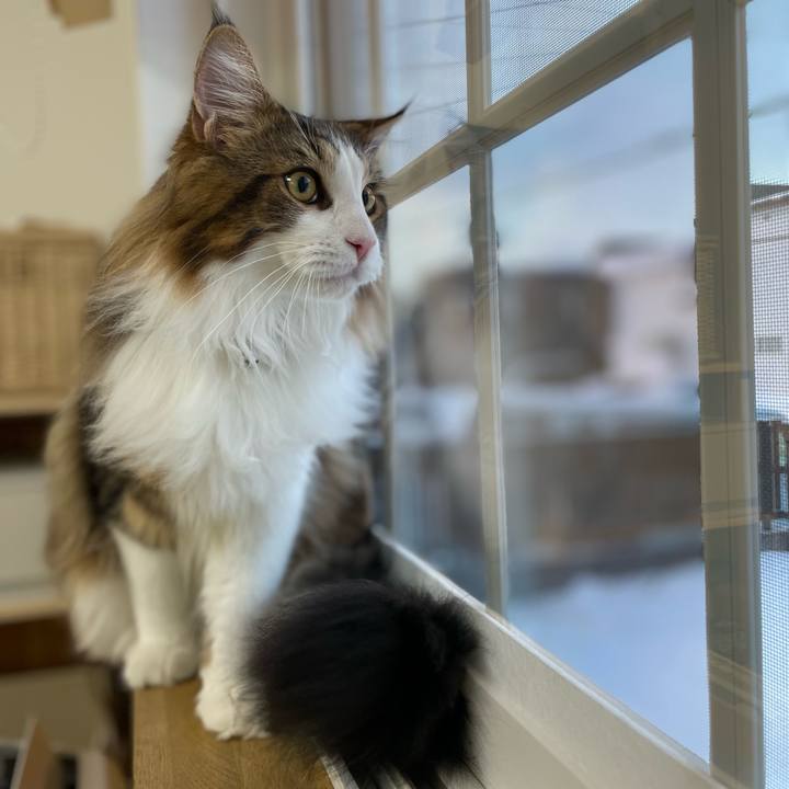 8a81bb7e 87bb 4b50 81a3 bae1f3a03dfa 1644357348086