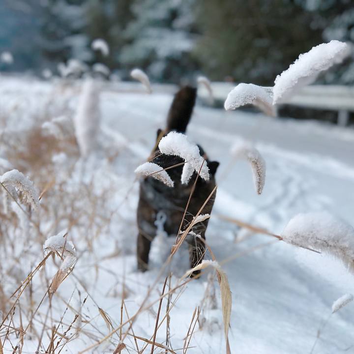 8a81bf73 cdd0 47dc b00e 4113061a0915 1549756233747