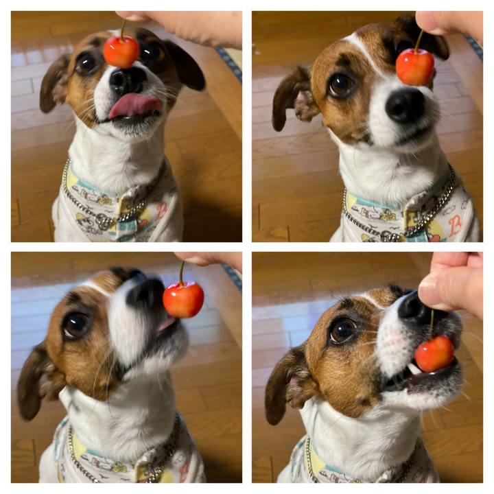 8a81e21e c37e 4bce a047 f48aacb303c1 1624149030279