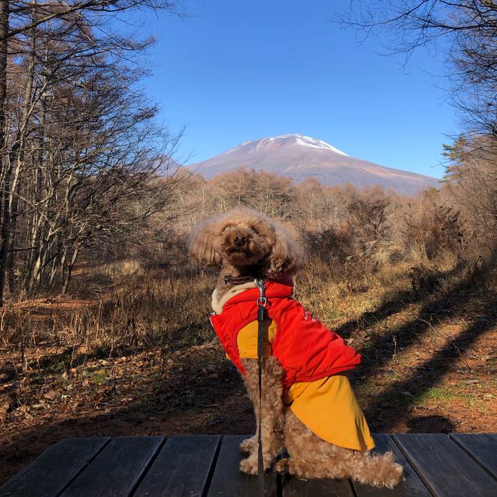 8a81e36c f72f 4457 a9c4 70199e6b2433 1773566068492