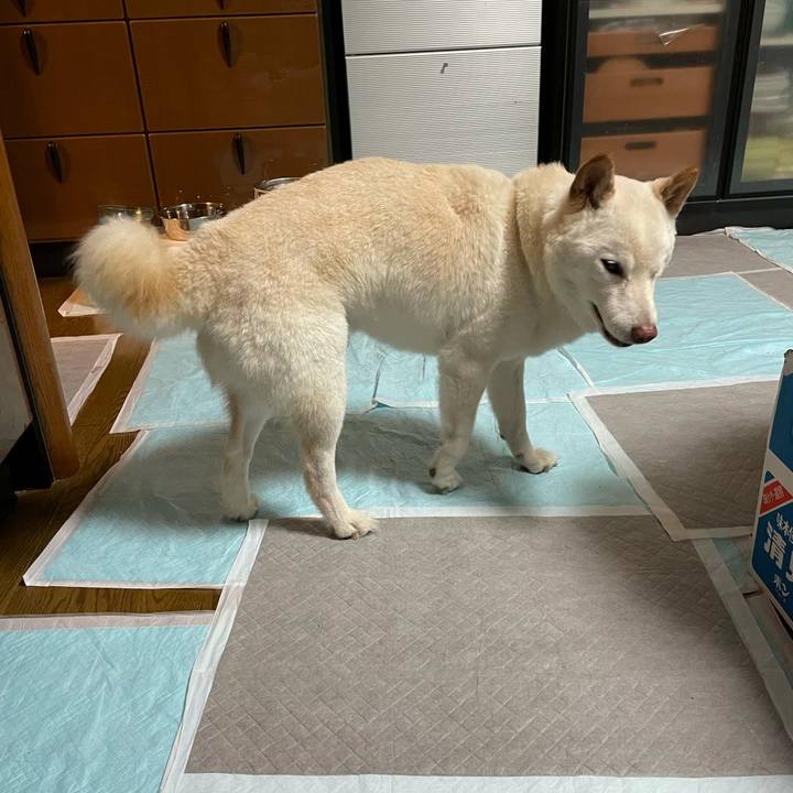 8a81e4d3 563f 45d3 bb8f 0763f4753328 1633950743082