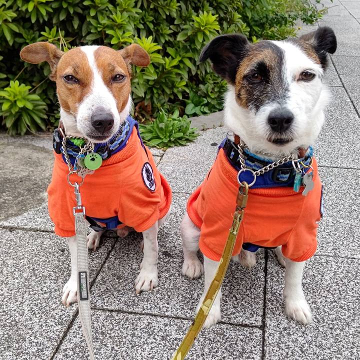 8a81f8d0 4e42 495f ac4e b95b345ad12b 1631830061474