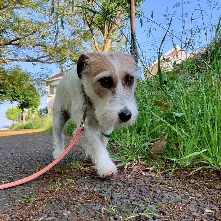 8a820363 f56e 45a4 ab56 0f81932d4eca 1653442428393