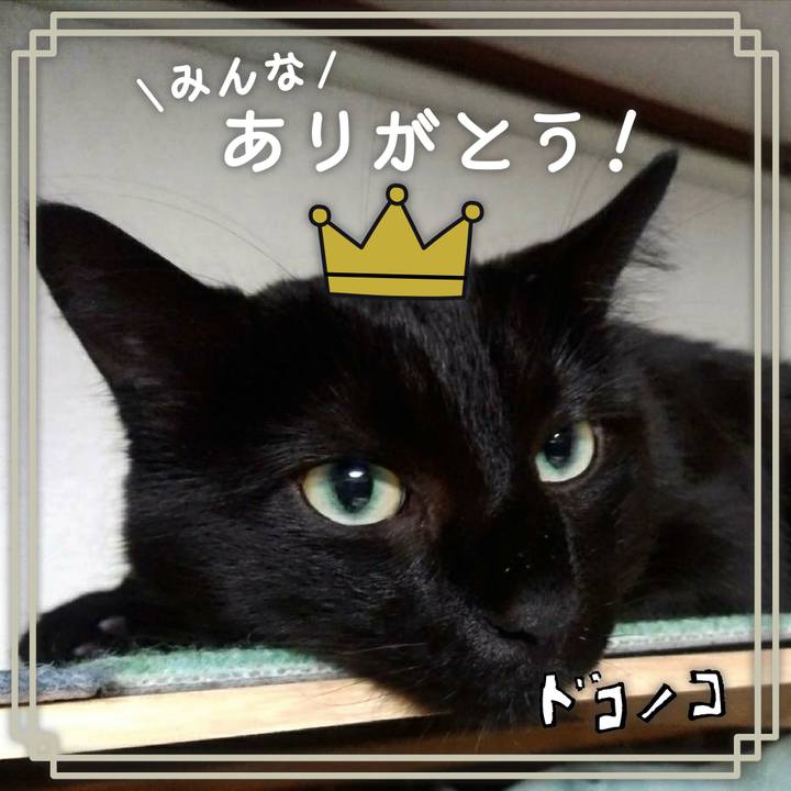 8a820d5d e607 4df9 a3b1 9539a878fb08 1622897099777