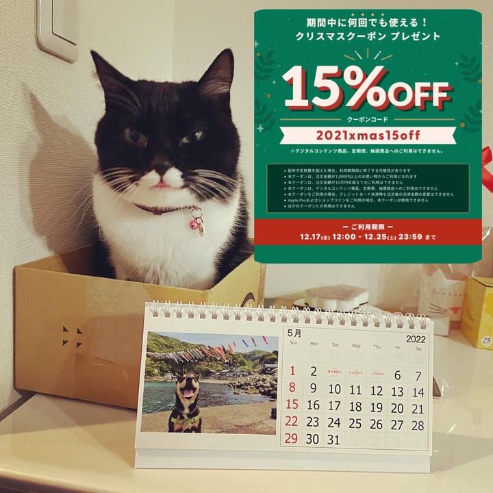 8a8210f1 0122 41f7 b93b 43575c02a81e 1639750122666