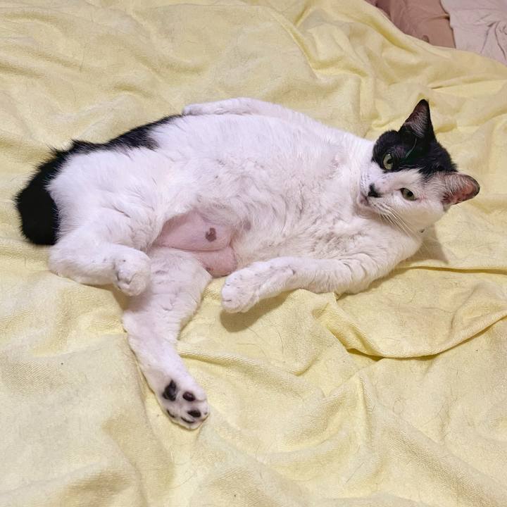 8a821499 870e 4f62 ada4 f140fb1fd392 1757117794902