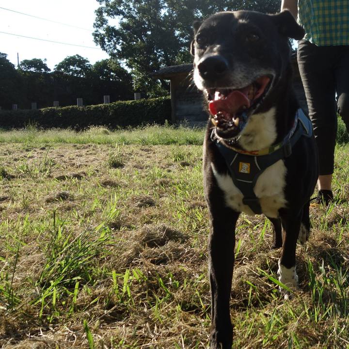 8a823066 96c6 4323 9bd9 1511dd1cb2df 1726189313904